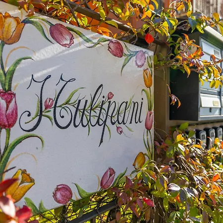 Apartman Tulipani 17 - Tremezzina *